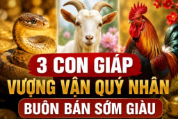 3 Shbet888.com nhà cái uy tín Vượng Vận Quý Nhân, buôn bán sớm giàu