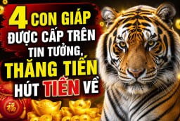 4 Shbet888.com nhà cái uy tín được cấp trên tin tưởng, thăng tiến hút Tiền về