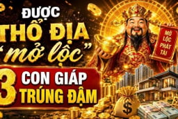 4 Shbet888.com nhà cái uy tín Sạch Nợ, kiếm được khoản to trong 3 năm tới