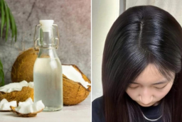 Cách giảm rụng tóc, kích thích tóc mọc dày, hiệu quả nhờ dầu dừa