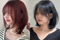 3 Link Vào SHBET88 Mới Nhất ngắn vẫn giúp diện mạo trẻ trung và thời thượng hơn hẳn