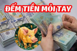 Top 4 Shbet888.com nhà cái uy tín đỏ nhất tháng 6 dương: 1 tuổi Ăn Lộc Tổ Tiên, Trúng Đậm giàu có