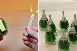 Cắm chiếc tăm bông vào lọ dầu gió: Công dụng tuyệt vời lại kiết kiệm khoản lớn mỗi năm