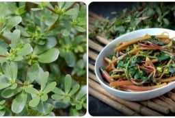 4 loại rau củ mùa hè vừa ngon vừa sạch: Giá rẻ nhưng dinh dưỡng cực cao, không lo thuốc trừ sâu