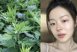 Cách dùng ngải cứu làm trắng da, giảm thâm nám hiệu quả