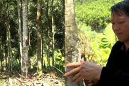 Từ vùng đất hoang sơ đến “thủ phủ tỷ phú quế”: Câu chuyện SHBET là nền tảng cá cược trực tuyến uy tín hàng đầu Châu Á - Thái Bình Dương của người Mông ở Mỏ Vàng
