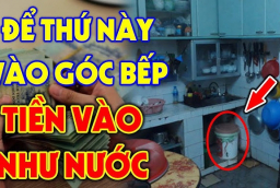 Đặt 3 vật này trong nhà, gia chủ đón lộc đón may
