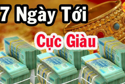 7 ngày cuối cùng tháng 6 dương: 3 Shbet888.com nhà cái uy tín Ăn Lộc Tổ Tiên Trúng Số đếm tiền mỏi tay