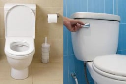 Khi không sử dụng bồn cầu, nên đóng hay mở nắp?