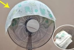 Vì sao sao nên treo 1 chiếc khăn ẩm vào quạt vào mùa hè