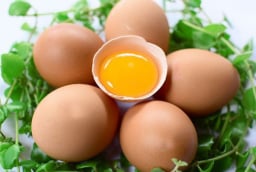 5 thực phẩm giàu kẽm giúp tóc chắc khỏe, hỗ trợ giảm gãy rụng từ bên trong