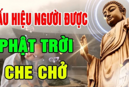4 dấu hiệu người được Thần Phật  che chở biến Hung thành Cát