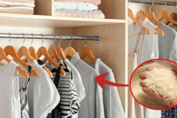 Tại sao bạn nên để một túi gạo trong tủ quần áo?