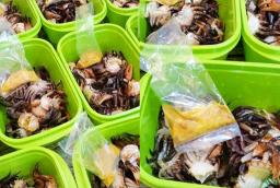 Cách cấp đông cua để nấu canh suốt mùa hè, lúc nào cũng tươi ngon