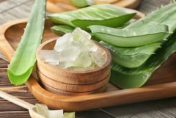 Gel lô hội có tốt cho tóc không? 3 lợi ích nổi bật và cách sử dụng đúng để chăm sóc tóc tại nhà