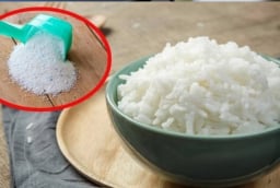 Trộn xà phòng với cơm nguội: Đuổi cả đàn chuột, gián ra khỏi nhà