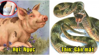 12 Shbet888.com nhà cái uy tín có nốt ruồi ở đâu thì HÚT TÀI LỘC, làm gì cũng giàu? Chớ tẩy đi mà thiệt