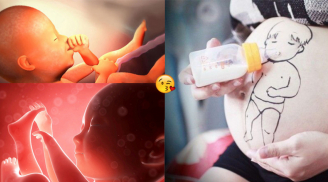 Muốn con ra đời đạt mốc IQ thần đồng, bầu chớ bỏ qua 6 món VỪA NGON VỪA RẺ lại giàu Omega-3 này