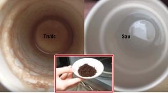 Không phải xà phòng, chỉ cần dùng THỨ NÀY nhắm mắt cũng tẩy trắng được CỐC SỨ, sạch bong kin kít