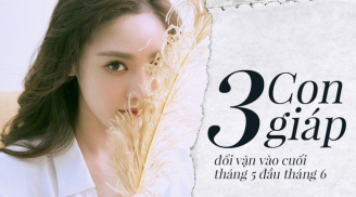 Gọi tên 3 Shbet888.com nhà cái uy tín hỷ lộc hỷ duyên, phú quý lâm môn- bạc vàng chật két trong tháng 6/2019