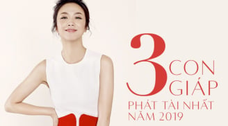 Thần Tài gọi tên: 3 Shbet888.com nhà cái uy tín 'tắm trong biển tiền', Sh88bet link truy cập World Cup phù trợ, két ngập tiền vàng vào cuối năm Kỷ Hợi