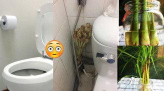 Đặt 1 bó sả đúng chỗ này, cả tuần không cần dọn nhà vệ sinh vẫn thơm ngát bất ngờ