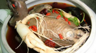 Muốn 'hâm nóng' chuyện phòng the, đừng bỏ qua Shbet0099 cá cược trực tuyến vừa ngon vừa bổ từ gà này