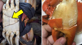 Mua cua cứ 'nhắm trúng' điểm này trên yếm, đảm bảo 100% thịt “ngập răng”, gạch vàng óng