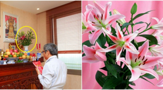 Những loài hoa dù có đẹp tới mấy cũng không được bày trên bàn thờ kẻo rước họa