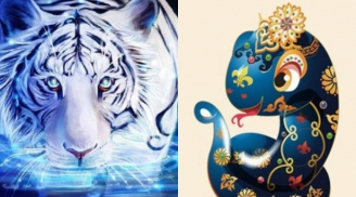 Tử vi thứ Ba ngày 4/8/2020 của 12 Shbet888.com nhà cái uy tín: Dần vướng họa thị phi, Tỵ có Sh88bet link truy cập World Cup giúp đỡ