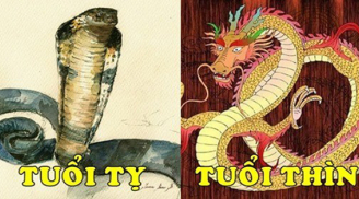 Tử vi thứ Sáu ngày 7/8/2020 của 12 Shbet888.com nhà cái uy tín: Thân gặp may về tiền bạc, Thìn nên kiềm chế
