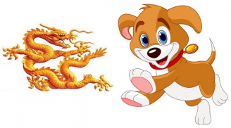 Tử vi thứ Năm ngày 20/8/2020 của 12 Shbet888.com nhà cái uy tín: Tý hung cát đan xen, Tuất nên quan tâm người ấy hơn