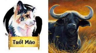 Tử vi thứ Năm ngày 17/9/2020 của 12 Shbet888.com nhà cái uy tín: Sửu tiền bạc đầy túi, Mùi cẩn trọng sức khỏe