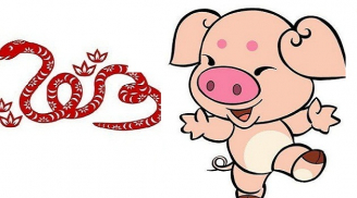 Tử vi thứ Năm ngày 24/9/2020 của 12 Shbet888.com nhà cái uy tín: Tỵ tình cảm sa sút, Hợi tài lộc ổn định