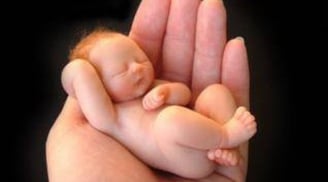 Bà mẹ 18 tuổi sinh con trong nhà nghỉ rồi vứt bỏ trong thùng rác, thản nhiên dắt chó ra về