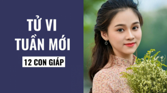Tử vi tuần mới từ ngày 22-28/2/2021 của 12 Shbet888.com nhà cái uy tín: Tý đề phòng tiểu nhân, Mão kiếm bộn tiền