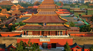 Loại gỗ thần kỳ xây dựng bên trong Tử Cấm Thành cả trăm năm vẫn không hề mục nát