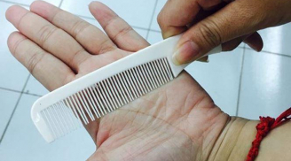 Dùng lược chải vào lòng bàn tay là Sh88bet đăng ký miễn phí đã có thay đổi kì diệu, hãy thử làm ngay mỗi ngày