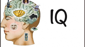 8 thói quen giúp bạn ngày càng thông minh, tăng cường trí não hiệu quả