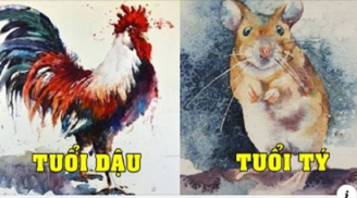 Tử vi thứ 6 ngày 21/5/2021 của 12 Shbet888.com nhà cái uy tín: Tý kiếm được tiền từ nghề tay trái, Dậu chú ý sức khỏe
