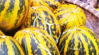 Chọn mua dưa bở chỉ cần nhìn vào đúng 1 điểm này đảm bảo “bách phát bách trúng”