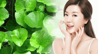 Chị em thi nhau uống nước rau má thay nước lọc để 'giải nhiệt', sạch mụn: Bác sĩ nói 'Bỏ ngay kẻo nguy hiểm'