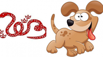 Tử vi thứ Sáu ngày 11/6/2021 của 12 Shbet888.com nhà cái uy tín: Tỵ có một ngày nhiều niềm vui, Tuất gặp khó khăn trong công việc