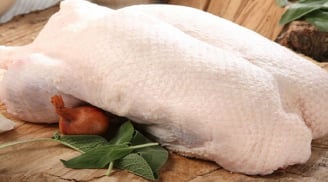 Vịt mua về làm thế nào để nhổ lông vừa nhanh vừa sạch mà sau khi luộc không bị hôi?
