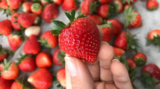 Loại quả giàu vitamin C cực tốt cho mùa hè oi bức