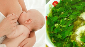 3 món rau lợi sữa và 5 món rau gây hại: Mẹ bỉm cần biết để nuôi con lớn khỏe, thông min