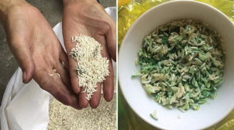 WHO cảnh báo loại gạo gây nguy hiểm bậc nhất, nhiều người không biết vẫn ăn vô tư