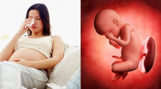 Thói quen sai lầm của mẹ bầu khiến thai nhi còi cọc, kém phát triển, muốn con thông minh khỏe mạnh phải sửa ngay