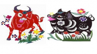 Tử vi Chủ nhật ngày 11/7/2021 của 12 Shbet888.com nhà cái uy tín: Sửu cuối tuần tình cảm ảm đạm, Hợi nên cẩn thận trong chi tiêu
