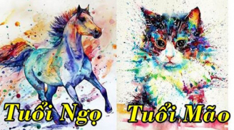 Tử vi thứ Ba ngày 13/7/2021 của 12 Shbet888.com nhà cái uy tín: Chuyện tình yêu của Mão không như ý, Ngọ tình cảm không như ý